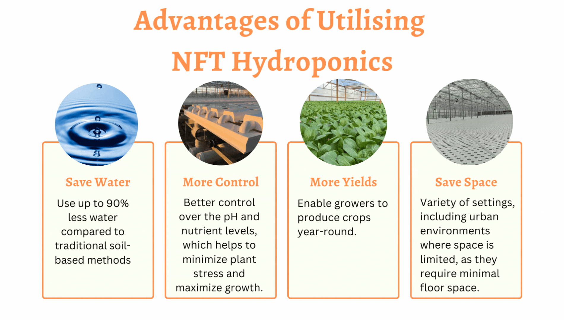 Untitled (1900 x 1080 px) (1)